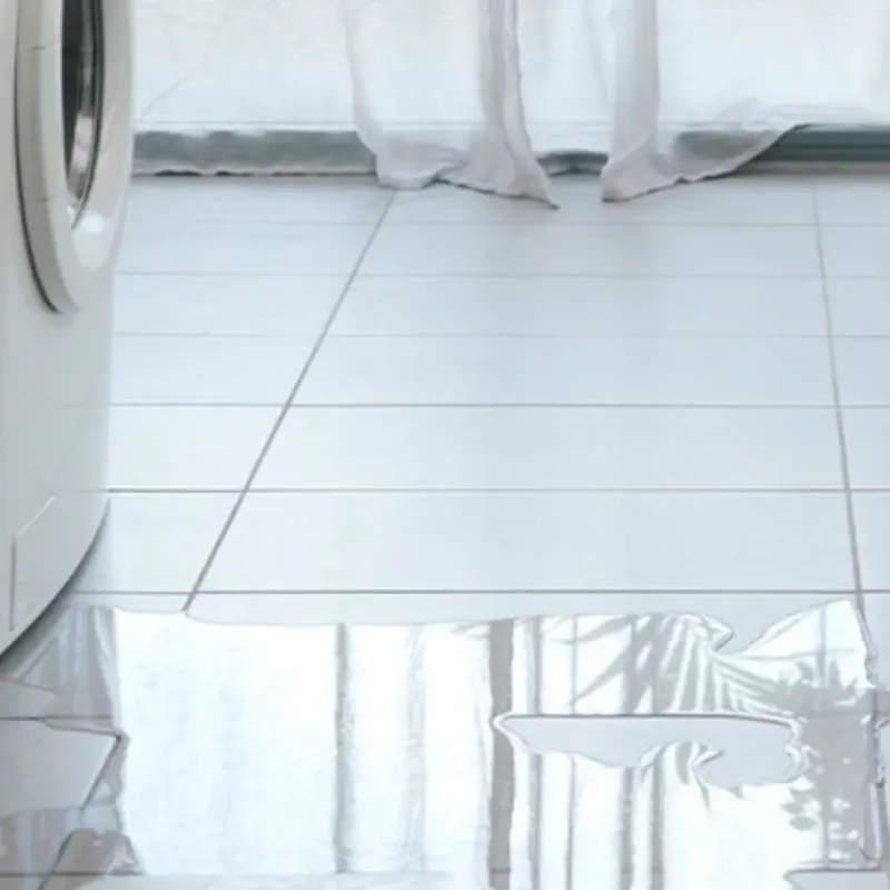 Appliance Leak Cleanup in Stevens Point, WI