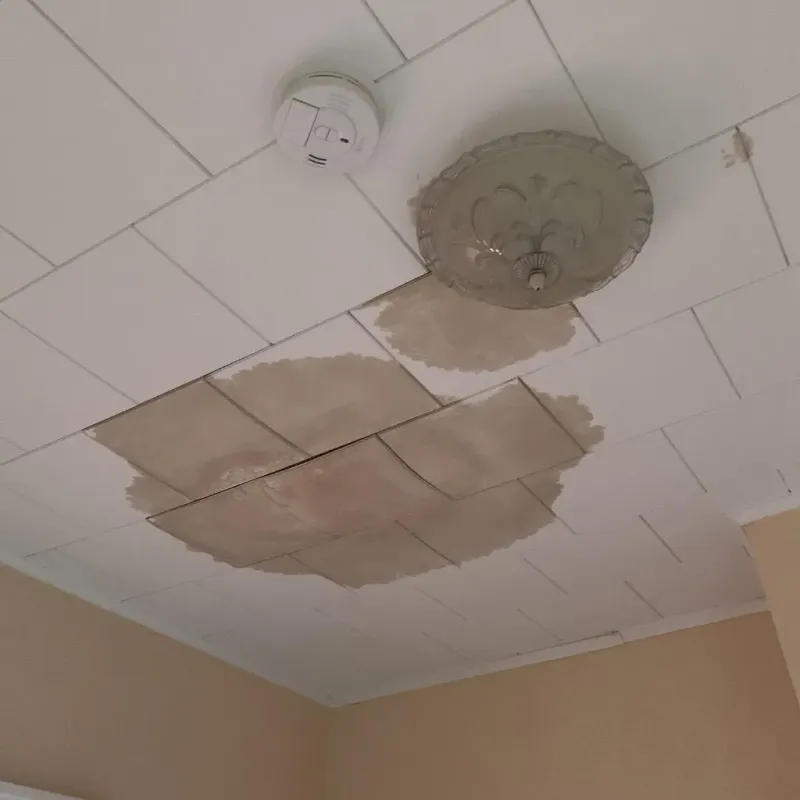 Ceiling Water Damage Repair in Stevens Point, WI