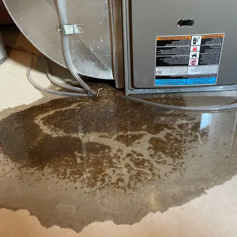 Pipe Burst and Leak Restoration in Stevens Point, WI