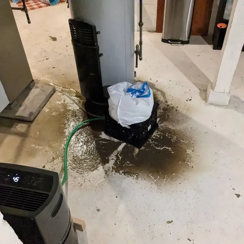 Sewage Backup Cleanup Service in Stevens Point, WI